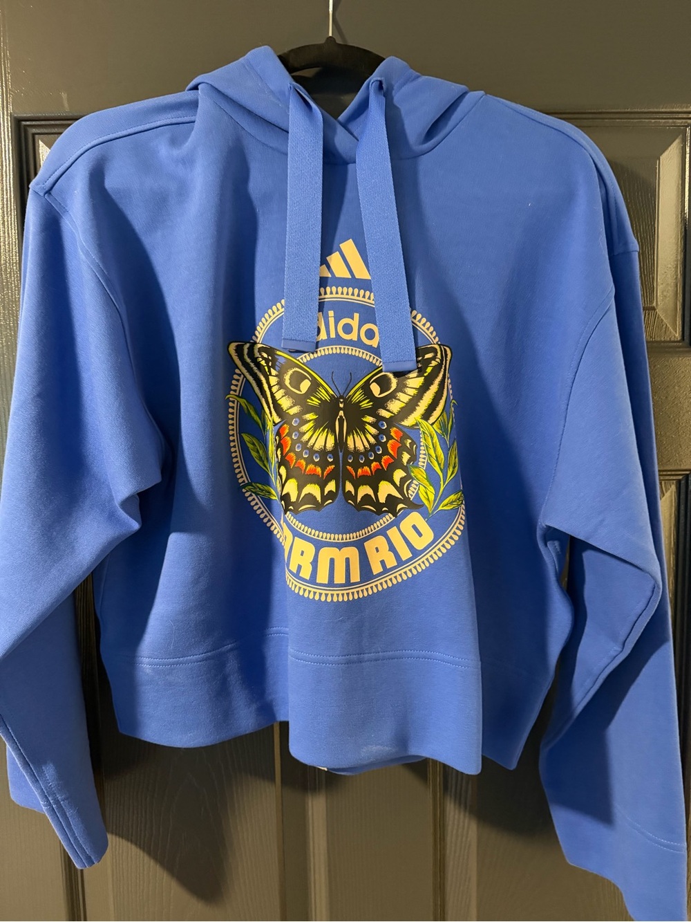 adidas Royal Blue Hoodie with Multicolor Butterfly Graphic